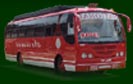 New Bus